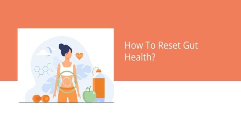 how-to-reset-gut-health-pro-blogs-hub